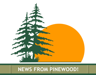 news from pinewood